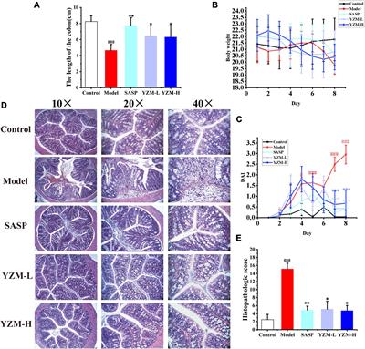 The Methanol Extract of Polygonatum odoratum Ameliorates Colitis by Improving Intestinal Short-Chain Fatty Acids and Gas Production to Regulate Microbiota Dysbiosis in Mice